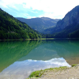 DSCF3813