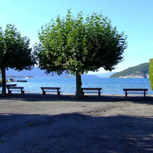 DSCF4033