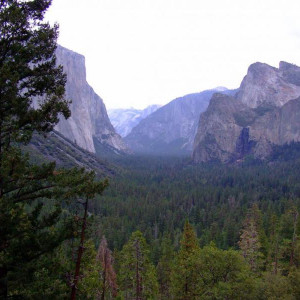 DSCF0646