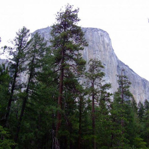 DSCF0666