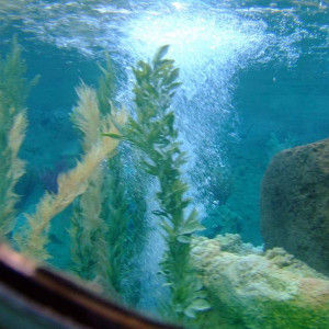 DSCF0929