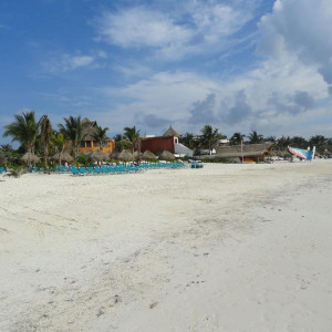 DSC06179