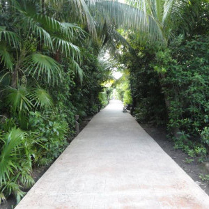DSC06168