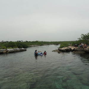 DSC06547