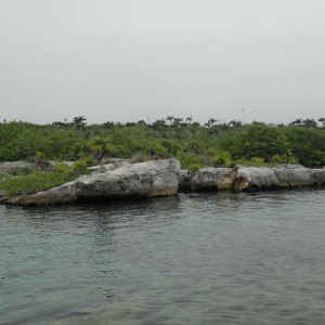 DSC06548