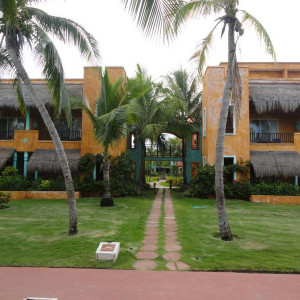 DSC06739