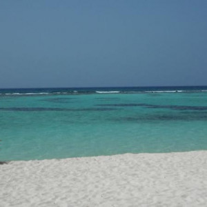 Canto de la Playa