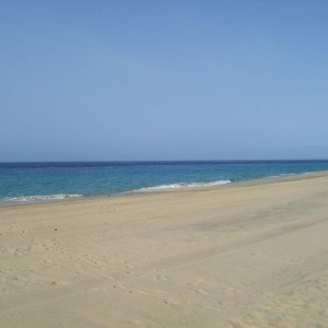 DSCF0742