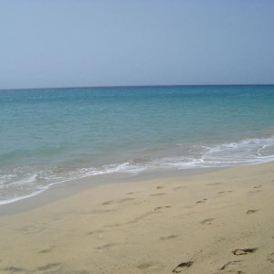 DSCF0770