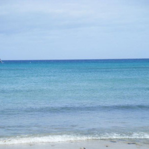 DSCF0679
