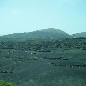 DSCF0910