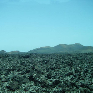 DSCF0948