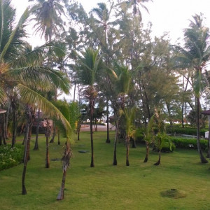 Vista Quarto