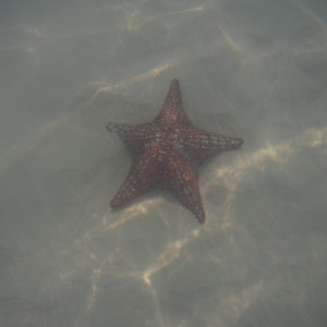 Piscinas Naturais