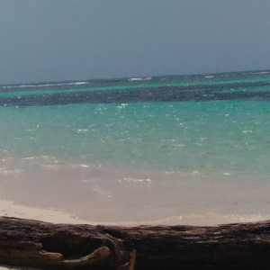 Saona 1