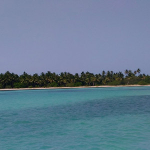 Saona 4