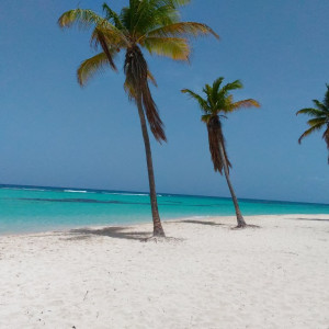 Saona 5