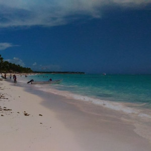 Saona 8
