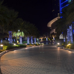 DSC_6375