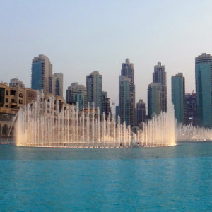 DSC03447
