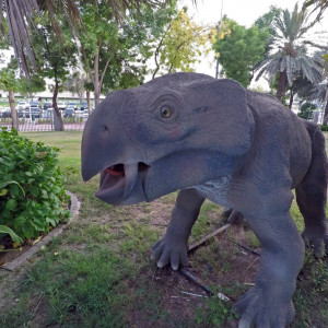 GOPR0097