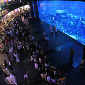 aquario