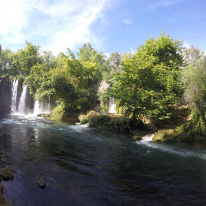 G0657385