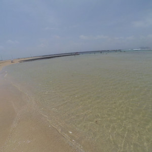 Baiagatas8
