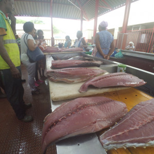 Mercadopeixe4
