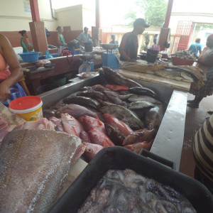 Mercadopeixe6