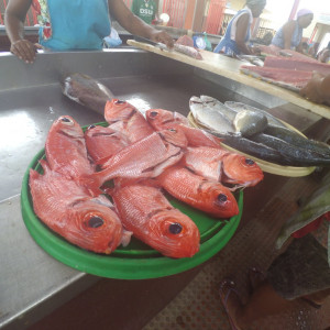 Mercadopeixe7