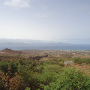 DSC07253