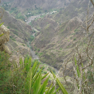 DSC07257