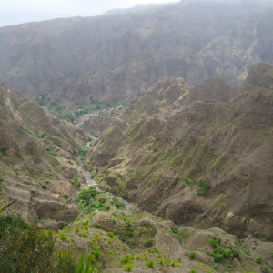 DSC07265