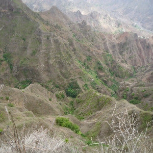 DSC07276