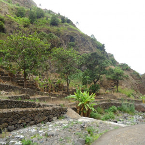 DSC07286