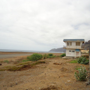 DSC07317