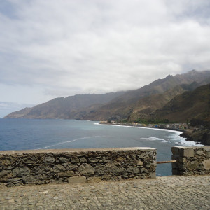 DSC07318