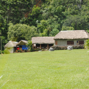 DSC_0431