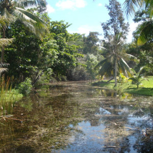 DSC04782