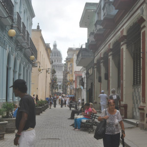 DSC_0252 (1)