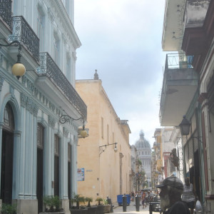 DSC_0255 (1)