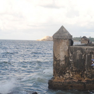 DSC_1000