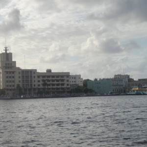 DSC05224