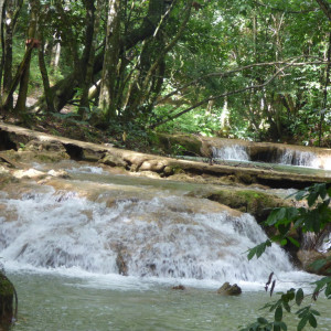 P1010835