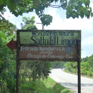 P1010866