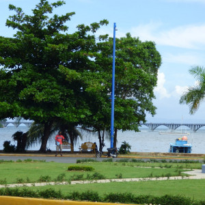 P1020019