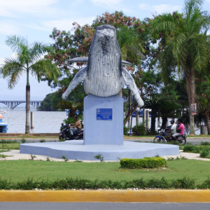 P1020020