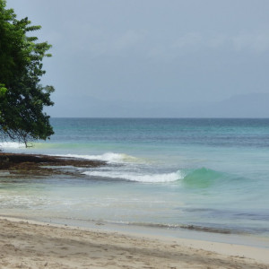 P1020241