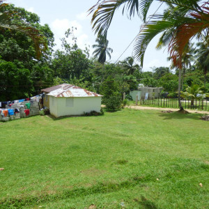 P1020278